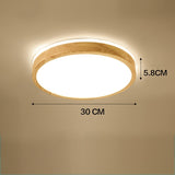 LED Ceiling Light